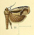 Thumbnail for version as of 03:15, 15 November 2014