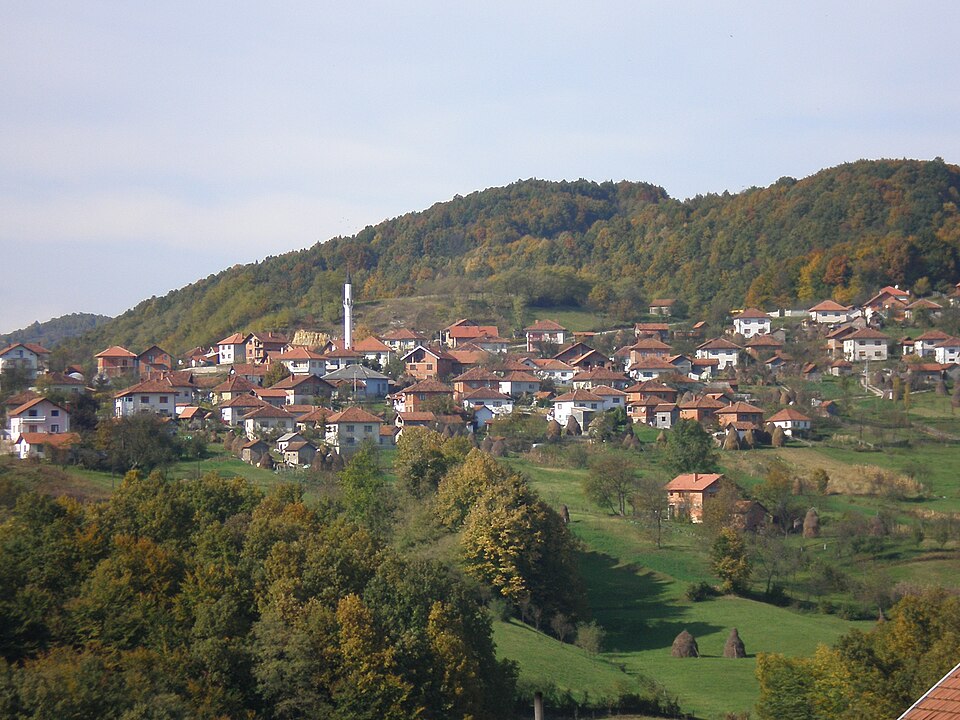 File:StjepanPolje-Dedici.jpg