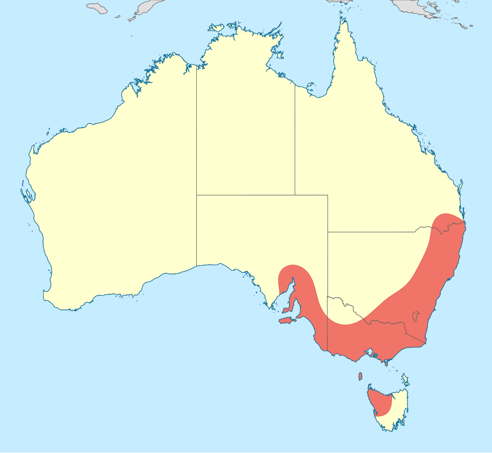 File:Synthemis eustalacta distribution map.svg