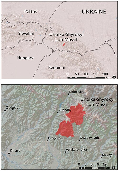 File:Uholka-Shyrokyi Luh Massif 141414.jpg