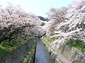 Lake Biwa Canal