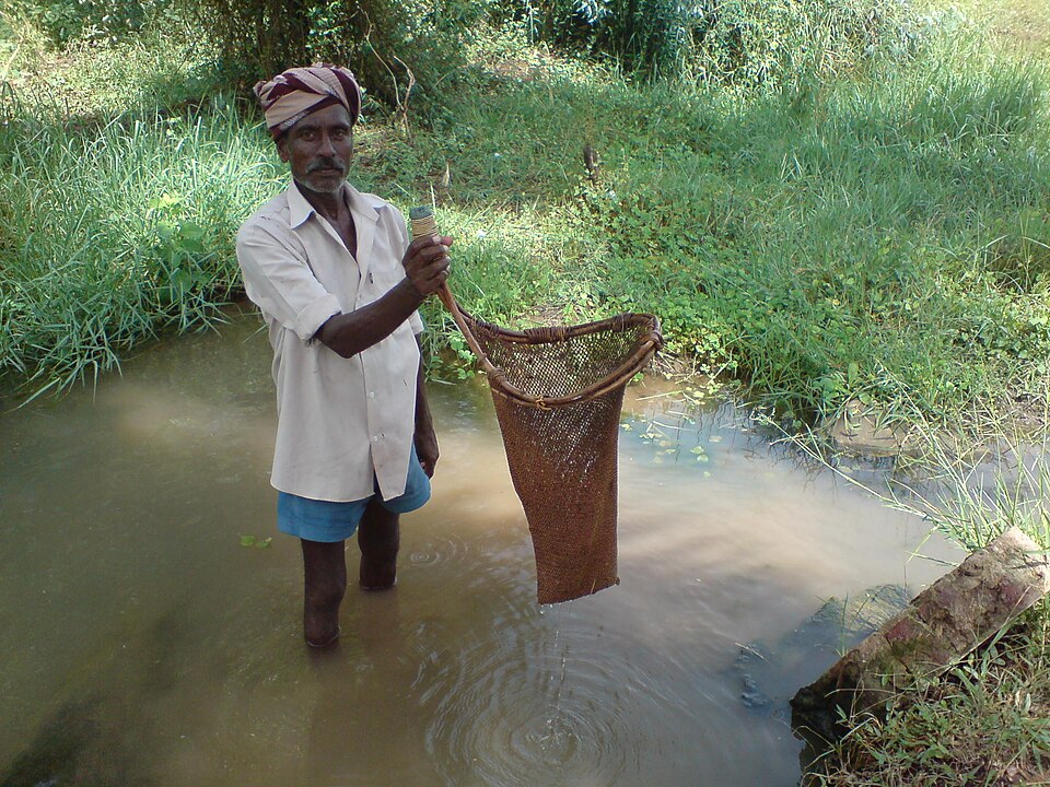 File:Fishing Katcha Valai.JPG