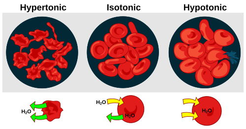 Osmotic pressure