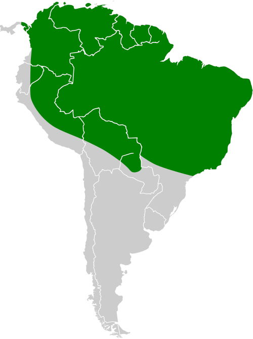 File:Pilherodius pileatus map.svg