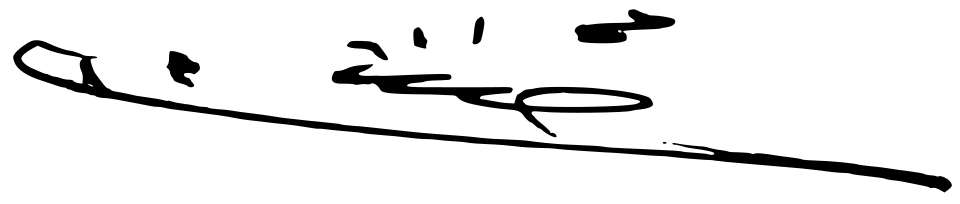 File:Signature of Saddam Hussein.svg