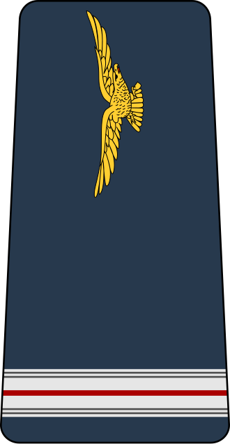 File:06.GAF-WO2.svg
