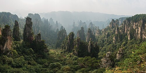 A heavily forested foggy karst landscape