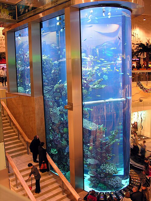 File:Akvariumas 2006-12-02.jpg