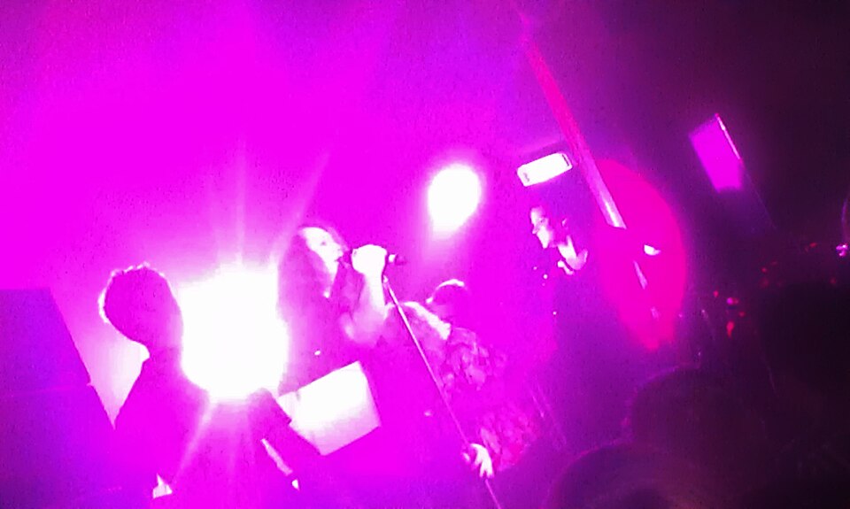 File:Antony Hegarty performing.jpg