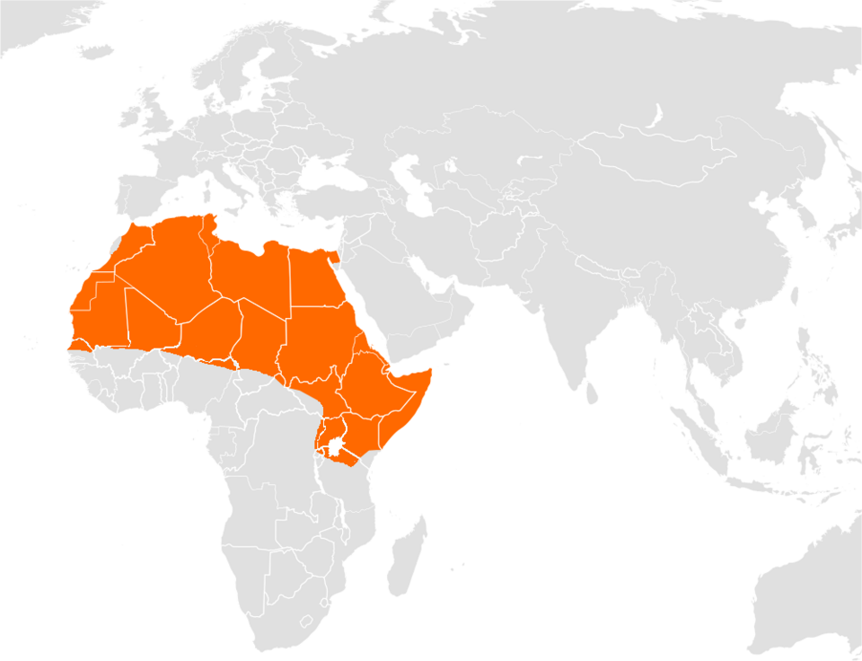 File:Canis lupaster range.png