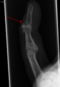 Thumbnail for version as of 18:37, 30 December 2010