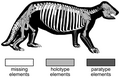 Thumbnail for version as of 15:58, 5 April 2024