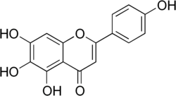 2D representation of the chemical structure of scutellarein .