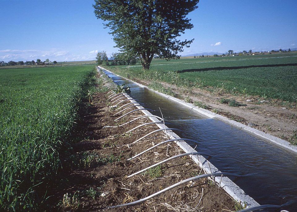 File:SiphonTubes.JPG
