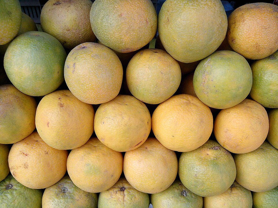 File:Sweet limes of Salem.jpg