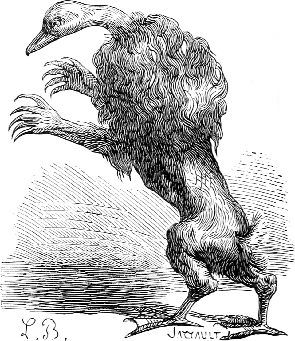 File:Ipès.png