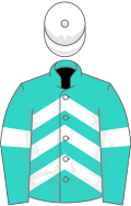 Turquoise, white chevrons and armlets, white cap