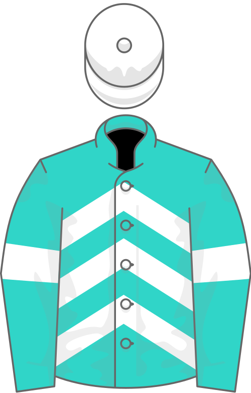 File:Owner P J Hartigan.svg