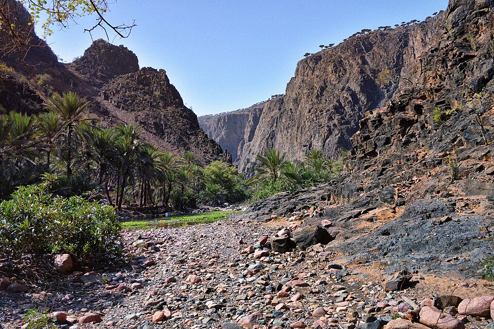 File:Wadi, Socotra Island (10941888296).jpg