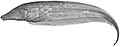 Thumbnail for version as of 02:48, 15 November 2025