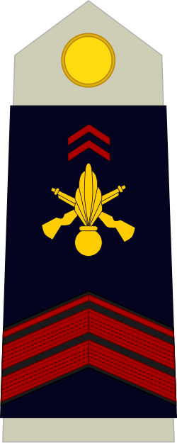 File:Army-FRA-OR-03.svg