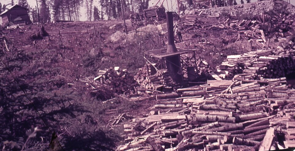 File:Clearing Land Sanshaw Mine 1935-36.jpg