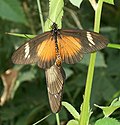 Thumbnail for version as of 18:06, 3 September 2011
