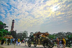 Traditional horse-drawn carriage