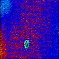 Thumbnail for version as of 23:16, 13 November 2009