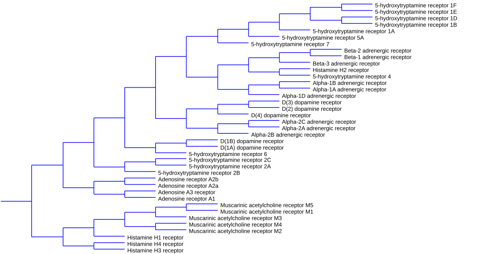 File:Monoamine receptor tree.svg