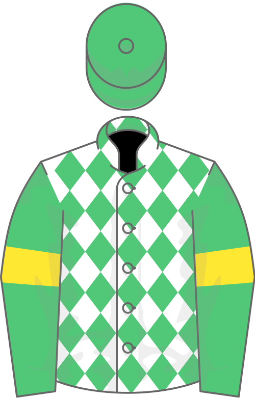 File:Owner Timothy J Rooney.svg