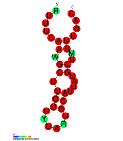 CRISPR-DR65: Secondary structure taken from the Rfam database. Family RF01378.