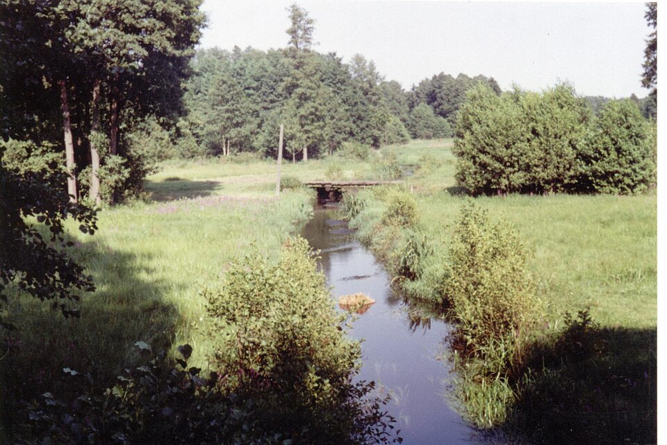 File:Rzeczka strzemeszna190801.jpg