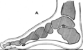 Thumbnail for version as of 21:17, 17 August 2008