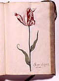 original file