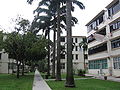 Tiong Bahru, Lim Liak Street