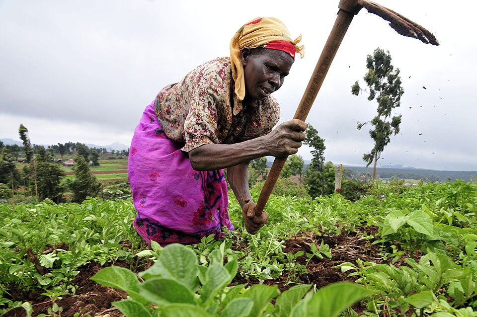 File:2DU Kenya 86 (5367322642).jpg