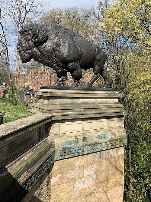 File:Buffalo of Dumbarton Bridge - 6.jpg