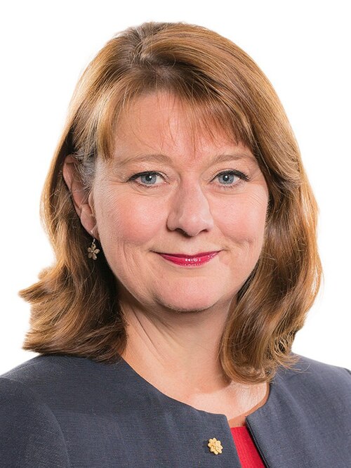 File:Leanne Wood AM (27555056394) (cropped).jpg