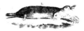 Thumbnail for version as of 20:47, 2 August 2008