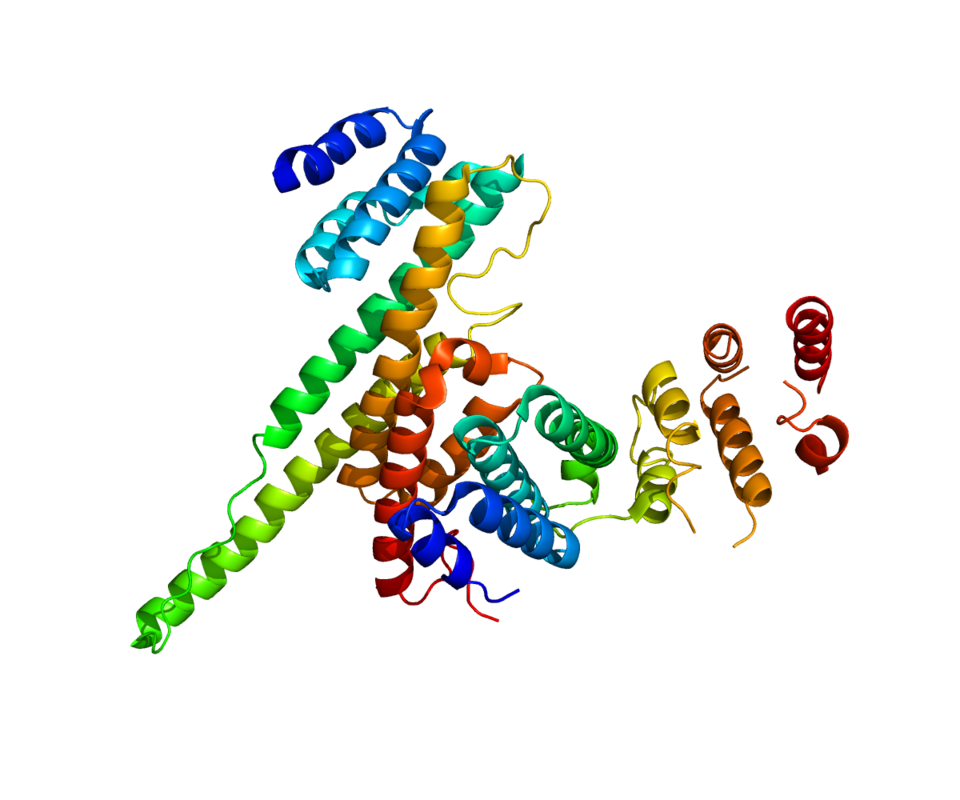 File:Protein NUP107 PDB 3CQC.png