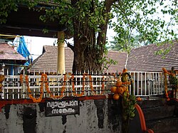 വ്യാഘ്രപാദ മഹർഷിക്ക് ദർശനം ലഭിച്ച സ്ഥലം