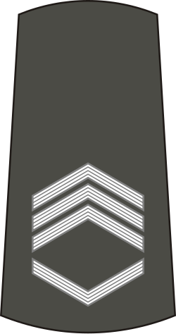 File:06-Serbian Army-SSFC.svg