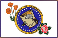 Flag of Sacramento County, California (PNG Version)