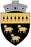 Coat of arms of Negrilești