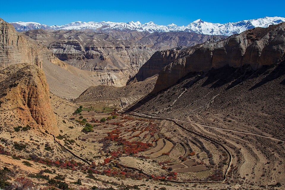 File:Samar terraced fields.jpg
