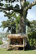 Image 29Nativity scene in Scarborough, Tobago, Trinidad and Tobago. (from Culture of Trinidad and Tobago)