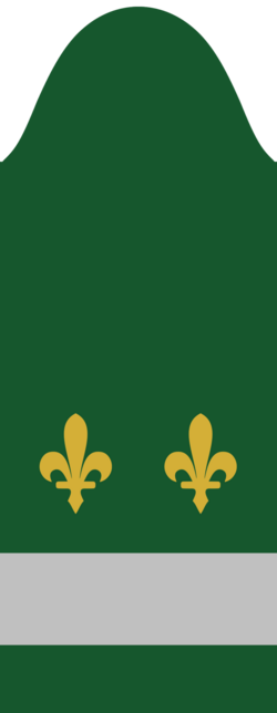 File:Sergeant-first-class---Army-of-the-Republic-of-Bosnia-and-Herzegovina-1992.png