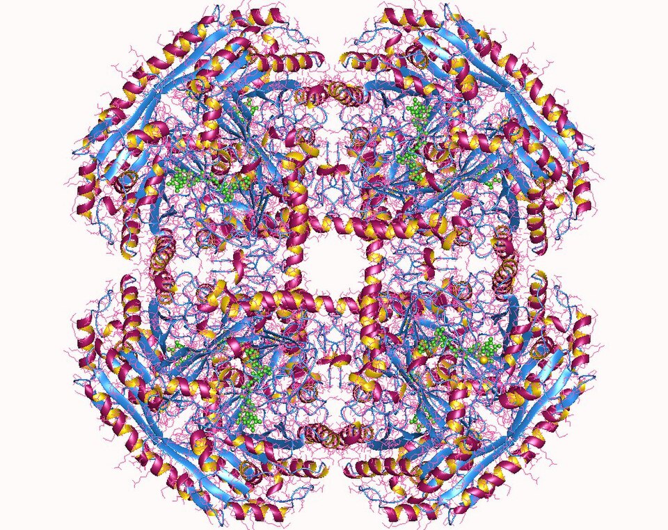File:1vao.jpg
