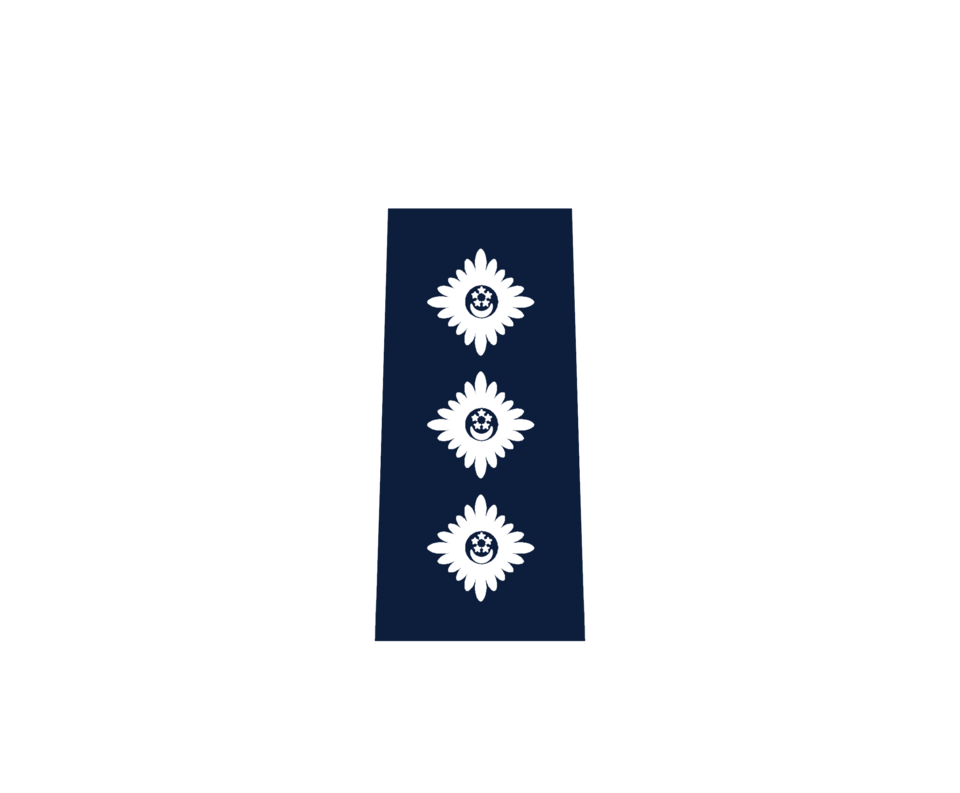 File:SPF CIP.png